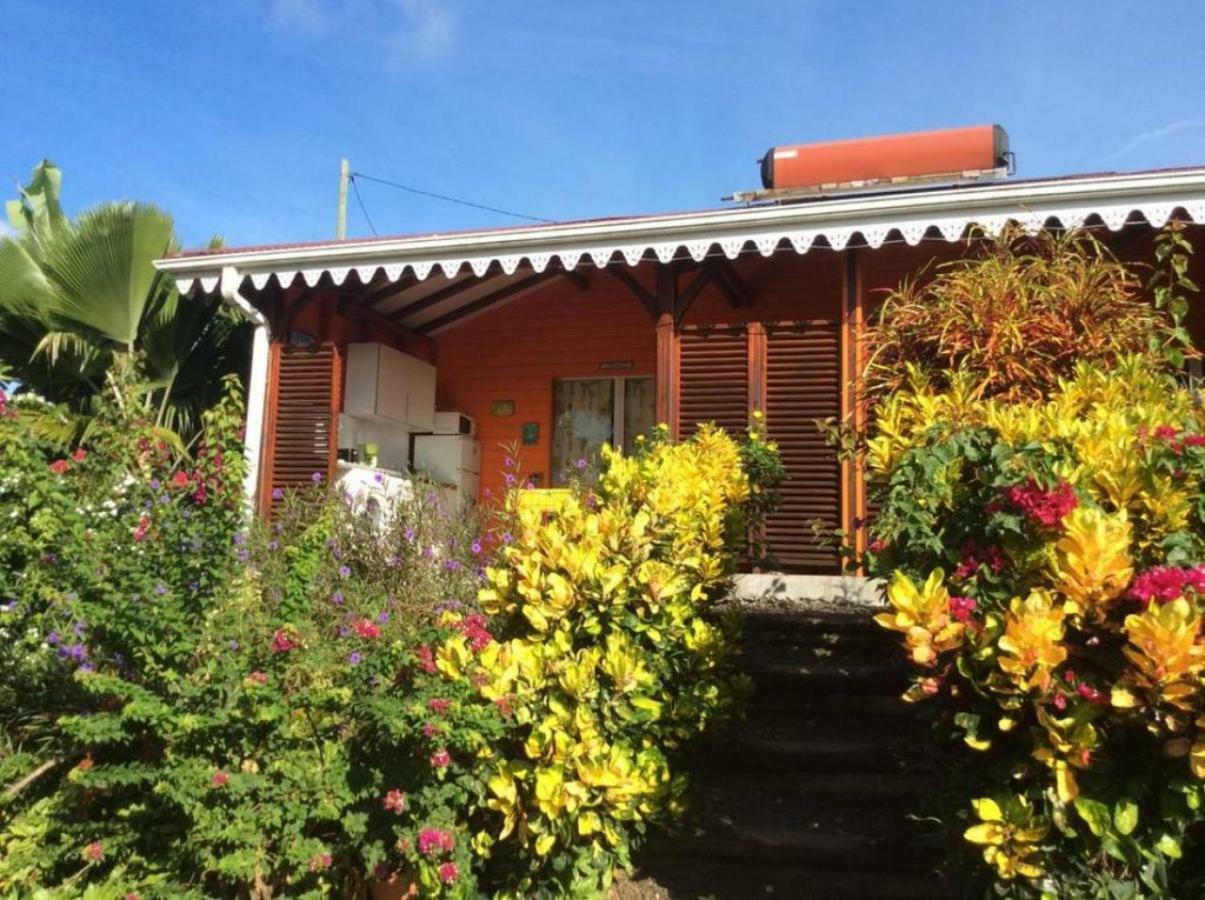 Villa Manguier Riviere-Salee Luaran gambar