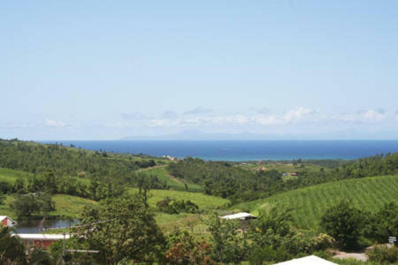 Villa Manguier Riviere-Salee Luaran gambar