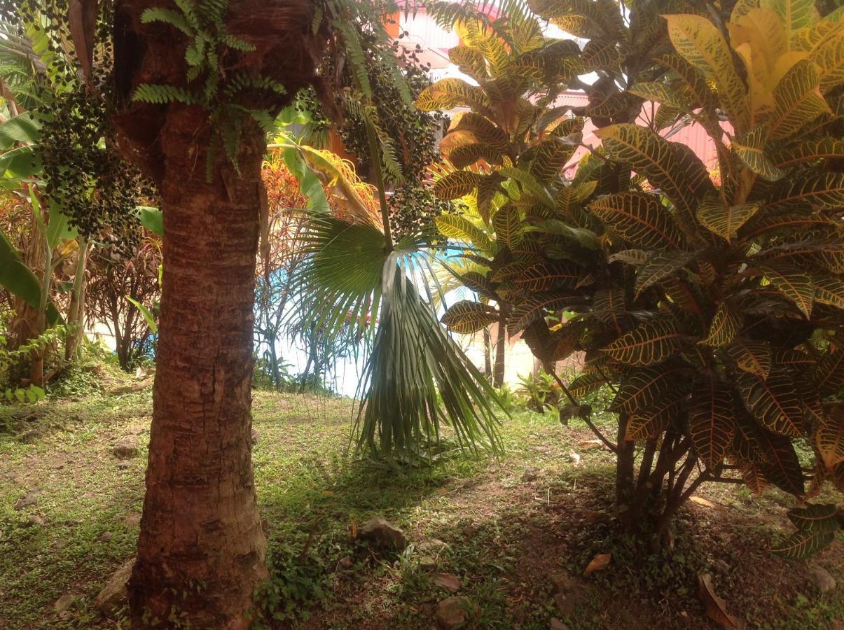 Villa Manguier Riviere-Salee Luaran gambar